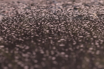 water drop on surface