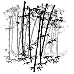 Illustration of bamboo groveNo.2