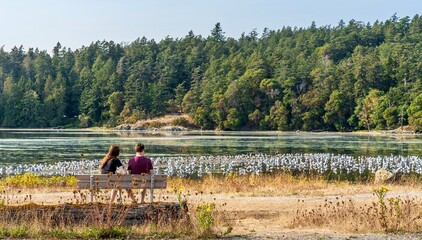Fototapeta premium Couple watching the white birds and ducks at Esquimalt Migratory bird area, Colwood, Greater Victoria, Vancouver Island, British Columbia, Canada 