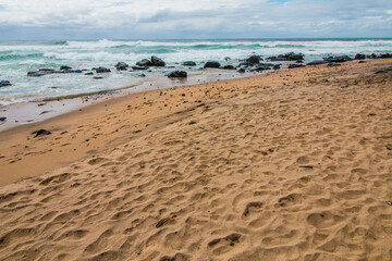 Footprints on Beach Sand with Rocks in Shallow Water