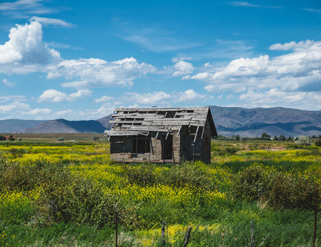 Abandoned Building in Beautiful Summer Landscape