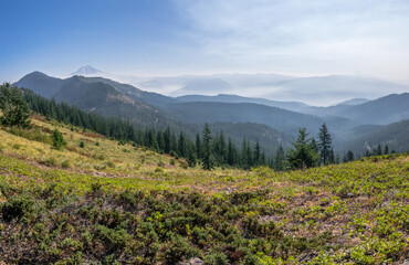 More than 500,000 acres of burned in wildfires in Oregon during 2017. 

Smoke from wildfires is obscuring the view of Mt Jefferson and the  Mt Jefferson Wilderness Area, Oregon.