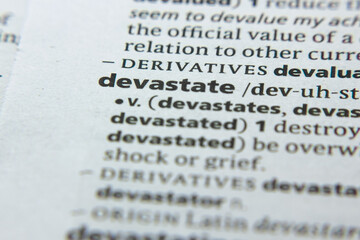 Word or phrase Devastate in a dictionary.