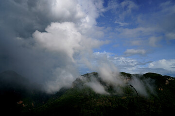 Fototapeta premium Landscape of high mountains and mist in northern Thailand.