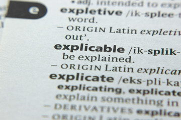 Word or phrase Explicable in a dictionary.