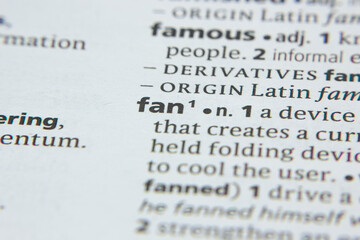 Word or phrase Fan in a dictionary.