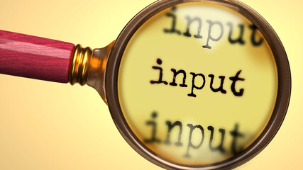 Examine and study input, showed as a magnify glass and word input to symbolize process of analyzing, exploring, learning and taking a closer look at input, 3d illustration