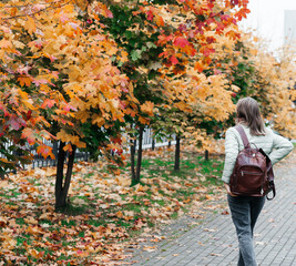 young woman autumn landscape red yellow maple leaves, in an orange knitted warm sweater