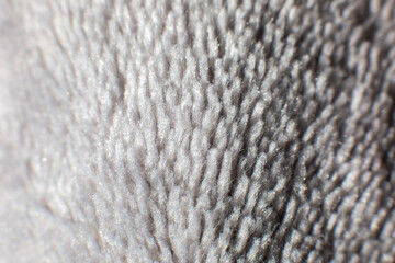 Close up photo of a shag carpet. Towel photo. Synthetic fur.