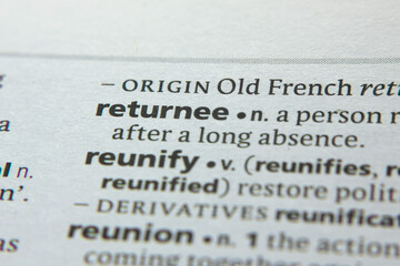 Word or phrase Returnee in a dictionary.