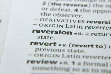 Word or phrase Reversion in a dictionary.