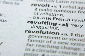 Word or phrase Revolting in a dictionary.