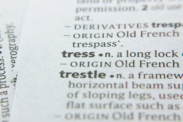 Word or phrase Tress in a dictionary.