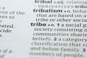 Word or phrase Tribe in a dictionary.