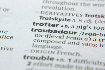 Word or phrase Troubadour in a dictionary.