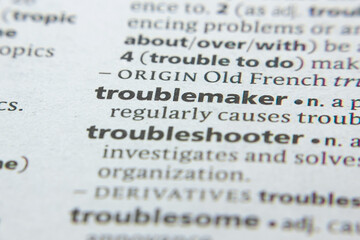 Word or phrase Troublemaker in a dictionary.