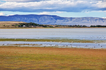 Lago argentino in El Calafate, Patagonia, Argentina