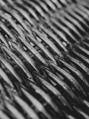 Black and white closeup of wood texture