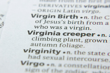 Word or phrase Virginia Creeper in a dictionary.