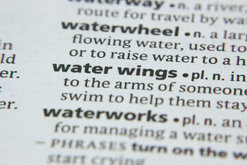 Word or phrase Water Wings in a dictionary.
