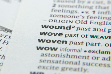 Word or phrase Wove in a dictionary.