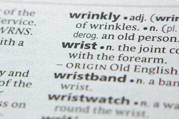 Word or phrase Wrist in a dictionary.