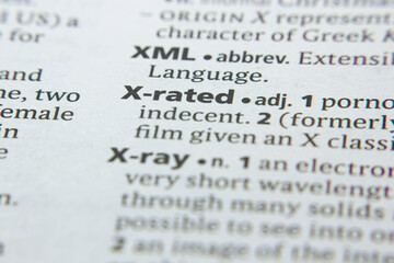 Word or phrase X-Rated in a dictionary.