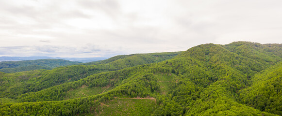 Fototapeta na wymiar Aerial view of national park forest at Medvednica mountain, Zagreb, Croatia.