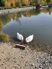 park in the city of Wols, Saratov region, Russia