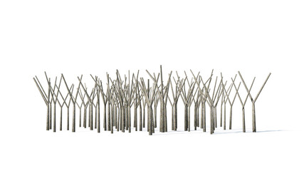 3d Tree trunk on white background
