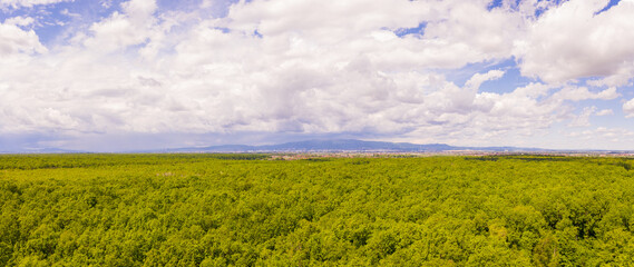 Panoramic aerial view of treetops forest near Zagreb, Croatia.