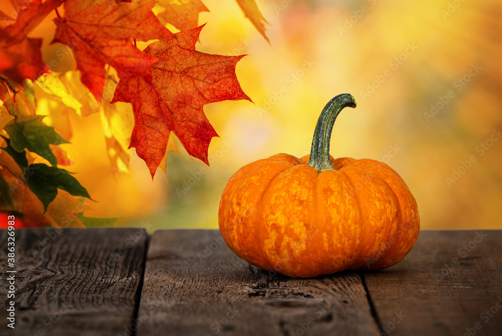 Wall mural mini pumpkin on rustic wooden table. beautiful autumn maple tree leaves background with golden bokeh