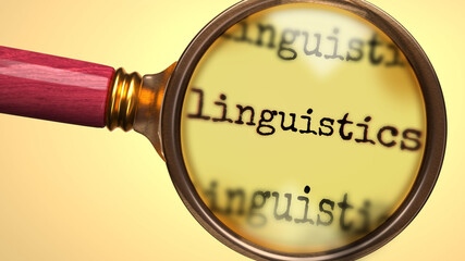 Examine and study linguistics, showed as a magnify glass and word linguistics to symbolize process of analyzing, exploring, learning and taking a closer look at linguistics, 3d illustration - obrazy, fototapety, plakaty