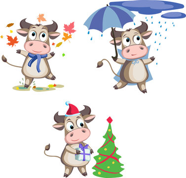 funny bull, bull in various poses and situations, drawing, 2021 year, vector, images
