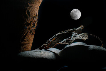 still life chiaroscuro with a Mexican garden pot, and a dry leaf on rocks with moody light and dark...