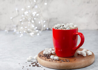 hot chocolate with marshmallows