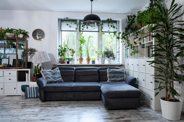 Modern living room with big window, grey sofa, white wooden furniture abd wooden floor in scandinavian design. Cozy interior space with green plants in apartment at home.