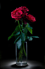 light painting still life, red roses in a dark environment with a black background chiaroscuro technic. baroque style