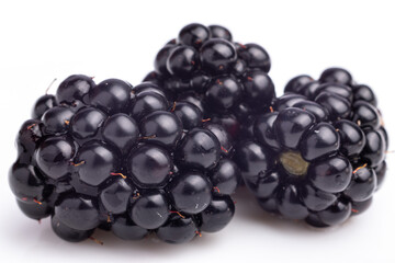 group of blackberries isolated on white background
