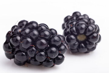 two blackberries closeup on white background