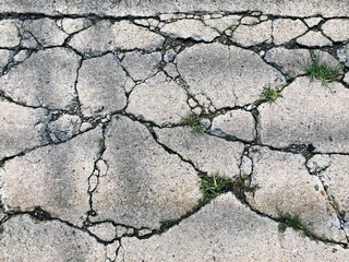 A close up of a cracked cement floor