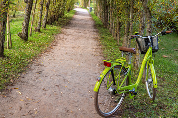 green bicycle in the park