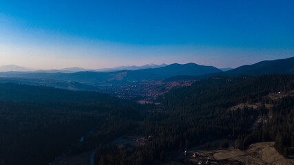 Carpathian mountains landscape pine forest needles aerial photography.