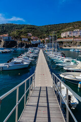 Obraz premium Cerbere