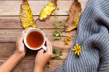Fototapeta na wymiar hand of girl holding herbal healthy drinks hot lemon tea for health care cough sore with flowers ,yellow leaves and knitting wool scarf of lifestyle in autumn season arrangement flat lay style 
