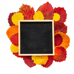 Autumn composition. Flat frame with slate background for notes, colorful leaves on a white background.