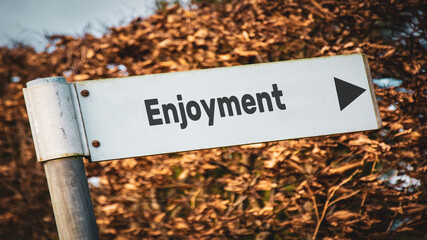 Street Sign to Enjoyment