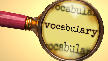 Examine and study vocabulary, showed as a magnify glass and word vocabulary to symbolize process of analyzing, exploring, learning and taking a closer look at vocabulary, 3d illustration
