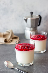 Italian dessert panna cotta with pomegranate. Vegetarian food. Healthy eating. Recipe.