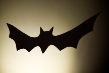 Halloween background with a bat projection on a white wall. Mystical decorative background. Space for text, front view.
